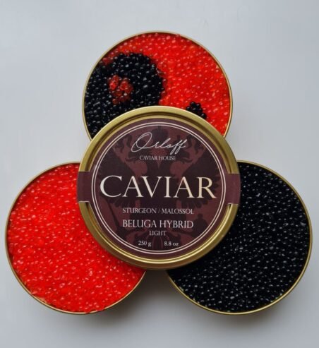 SIA Orloff caviar house